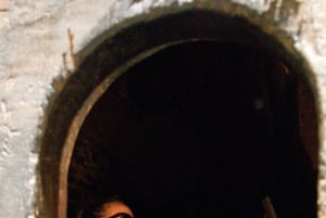 Porto: Vinresa Vintur i Dourodalen med sommelier och båttur