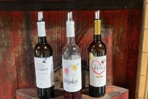 Porto: Vinresa Vintur i Dourodalen med sommelier och båttur