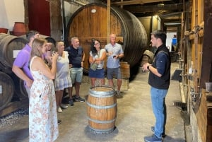 Porto: Vinresa Vintur i Dourodalen med sommelier och båttur