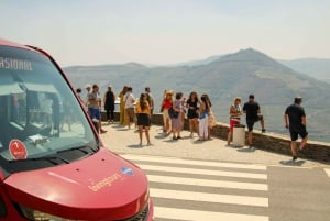 Porto: Visita ao Vale do Douro com almoço, provas e cruzeiro guiado