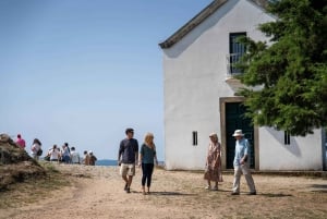 Porto: Visita ao Vale do Douro com almoço, provas e cruzeiro guiado