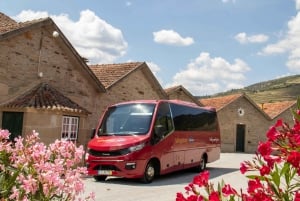 Porto: Visita ao Vale do Douro com almoço, provas e cruzeiro guiado