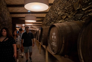 Porto: Visita ao Vale do Douro com almoço, provas e cruzeiro guiado