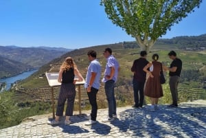 Porto : visite de la vallée du Douro avec dégustations, bateau et déjeuner