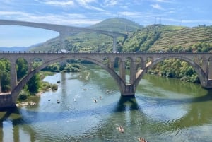 Porto : visite de la vallée du Douro avec dégustations, bateau et déjeuner