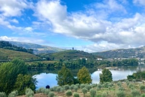 Porto : visite de la vallée du Douro avec dégustations, bateau et déjeuner