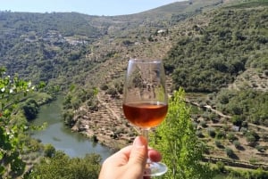 Porto : visite de la vallée du Douro avec dégustations, bateau et déjeuner
