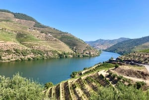 Porto : visite de la vallée du Douro avec dégustations, bateau et déjeuner