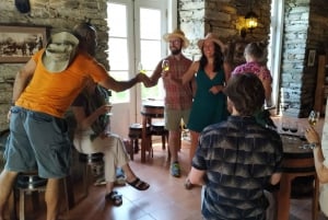 Porto : visite de la vallée du Douro avec dégustations, bateau et déjeuner