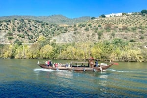 Porto : visite de la vallée du Douro avec dégustations, bateau et déjeuner