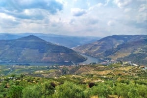 Porto : visite de la vallée du Douro avec dégustations, bateau et déjeuner