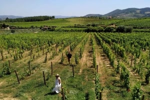 Porto : visite de la vallée du Douro avec dégustations, bateau et déjeuner