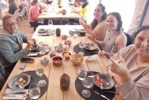 Porto : visite de la vallée du Douro avec dégustations, bateau et déjeuner