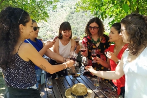 Porto : visite de la vallée du Douro avec dégustations, bateau et déjeuner