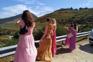 Porto : visite de la vallée du Douro avec dégustations, bateau et déjeuner