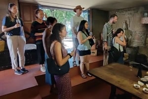 Porto : visite de la vallée du Douro avec dégustations, bateau et déjeuner