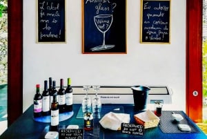 Porto: Dourodalen med två vingårdar, lunch och båttur