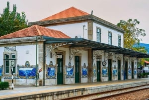 Porto: Dourodalen med två vingårdar, lunch och båttur