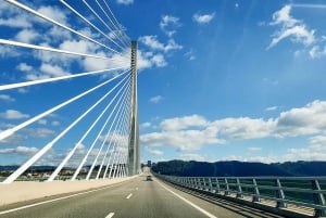 Porto: Dourodalen med två vingårdar, lunch och båttur