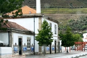 Porto: Dourodalen med två vingårdar, lunch och båttur