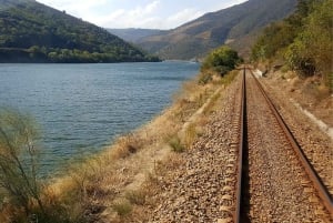 Porto: Dourodalen med två vingårdar, lunch och båttur