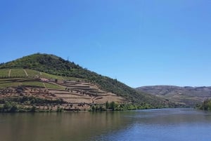 Porto: Dourodalen med två vingårdar, lunch och båttur