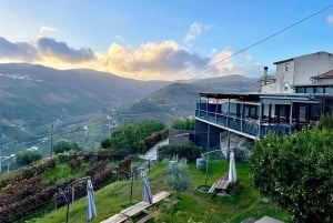 Porto: Dourodalen med två vingårdar, lunch och båttur