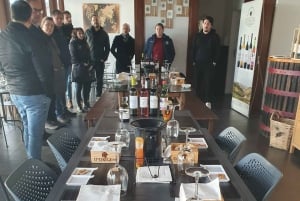 Porto: Dourodalen med två vingårdar, lunch och båttur