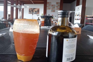 Porto: Dourodalen med två vingårdar, lunch och båttur