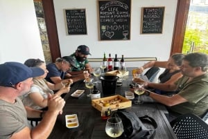 Porto: Dourodalen med två vingårdar, lunch och båttur