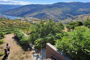 Porto: Dourodalen med två vingårdar, lunch och båttur
