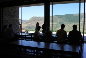Porto: Dourodalen med två vingårdar, lunch och båttur