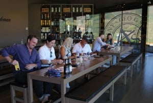 Porto: Dourodalen med två vingårdar, lunch och båttur