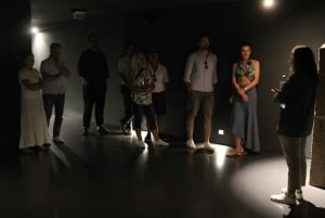 Porto: Dourodalen med två vingårdar, lunch och båttur