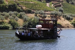 Porto: Dourodalen med två vingårdar, lunch och båttur