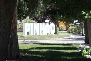 Porto: Dourodalen med två vingårdar, lunch och båttur