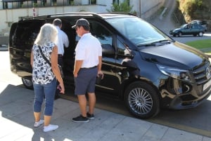 Porto: Dourodalen med två vingårdar, lunch och båttur