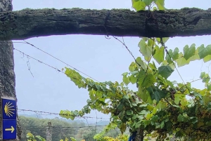 Porto: e-bikeverhuur voor de Camino de Santiago