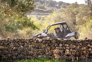 Porto: Dirt and Dust Tour med Oporto Buggy