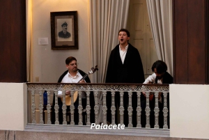 ポルト：ポルトで最も美しい邸宅の一つでのファドコンサート！