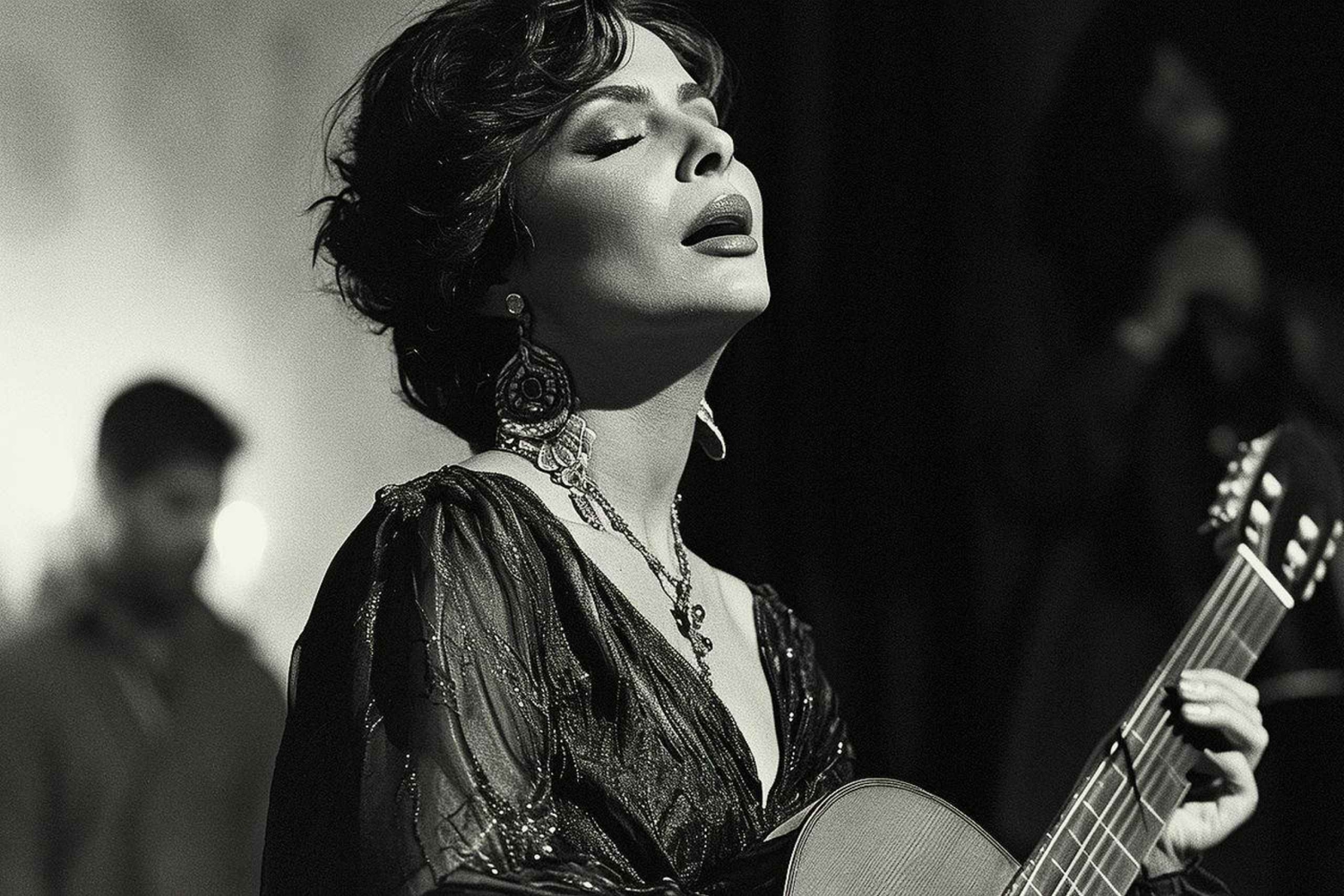 ポルト：伝統的なファドハウスでのディナー付きファドショー