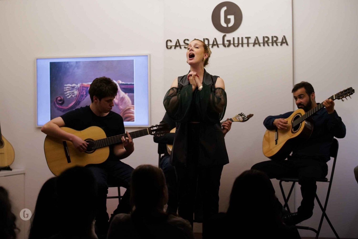 Oporto: fado y vino de Oporto en una tienda tradicional de música portuguesa