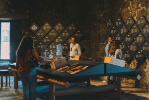 Porto: Fonseca Cellar Tour & 1 WOW Museum