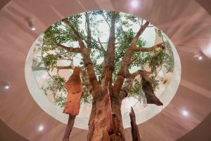 Porto: Fonseca Cellar Tour & 1 WOW Museum