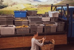 Porto: Piwnica win Fonseca i WOW The Wine Experience