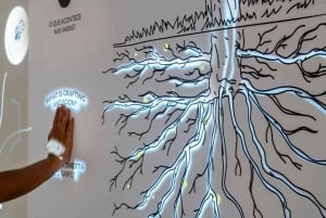 Oporto: Bodega Fonseca y WOW The Wine Experience