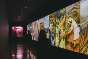 Oporto: Bodega Fonseca y WOW The Wine Experience