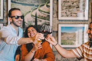 Oporto: Bodega Fonseca y WOW The Wine Experience