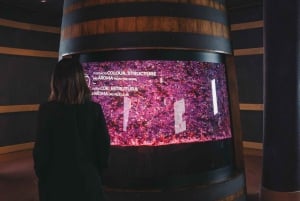 Oporto: Bodega Fonseca y WOW The Wine Experience