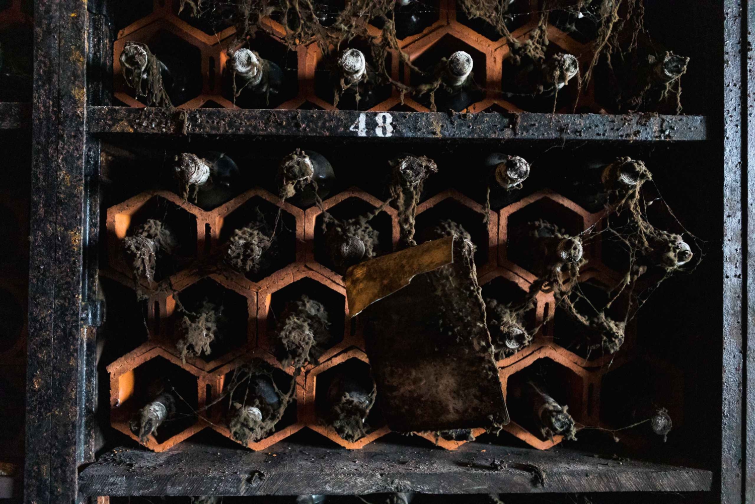 Porto: Food & Wine Tasting Walking Tour with Port Wine Cave